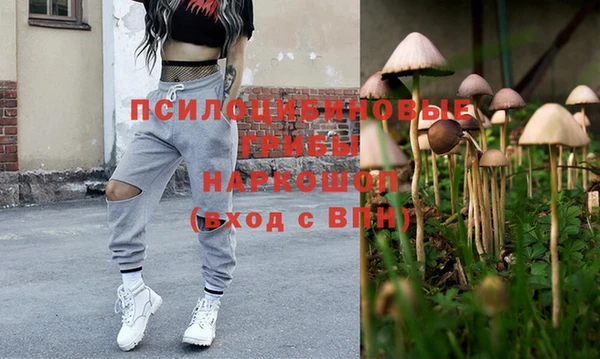 spice Аркадак