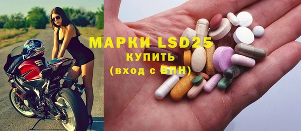 spice Аркадак