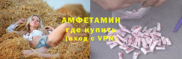 spice Аркадак