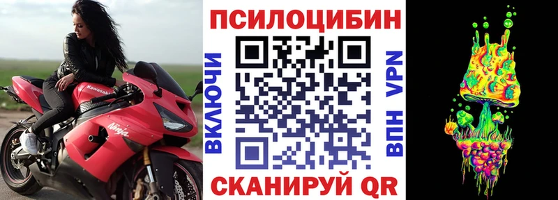 Галлюциногенные грибы ЛСД  блэк спрут как войти  Светлоград  где продают  